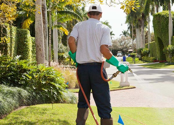 About Madrid NY Pest Control